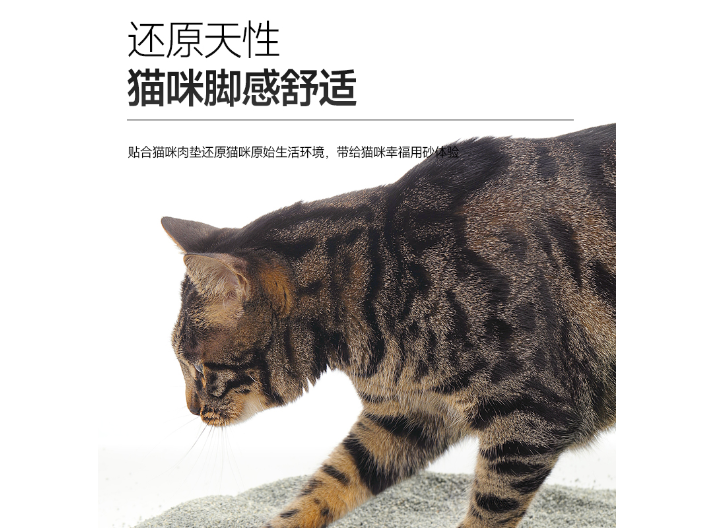 四川猫砂铲价格,猫砂