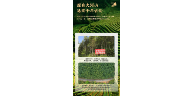 广东天然沉香茶叶厂,沉香茶