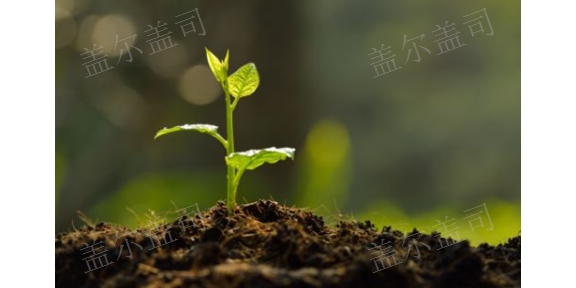 安徽多功能生物菌肥售后保障,生物菌肥